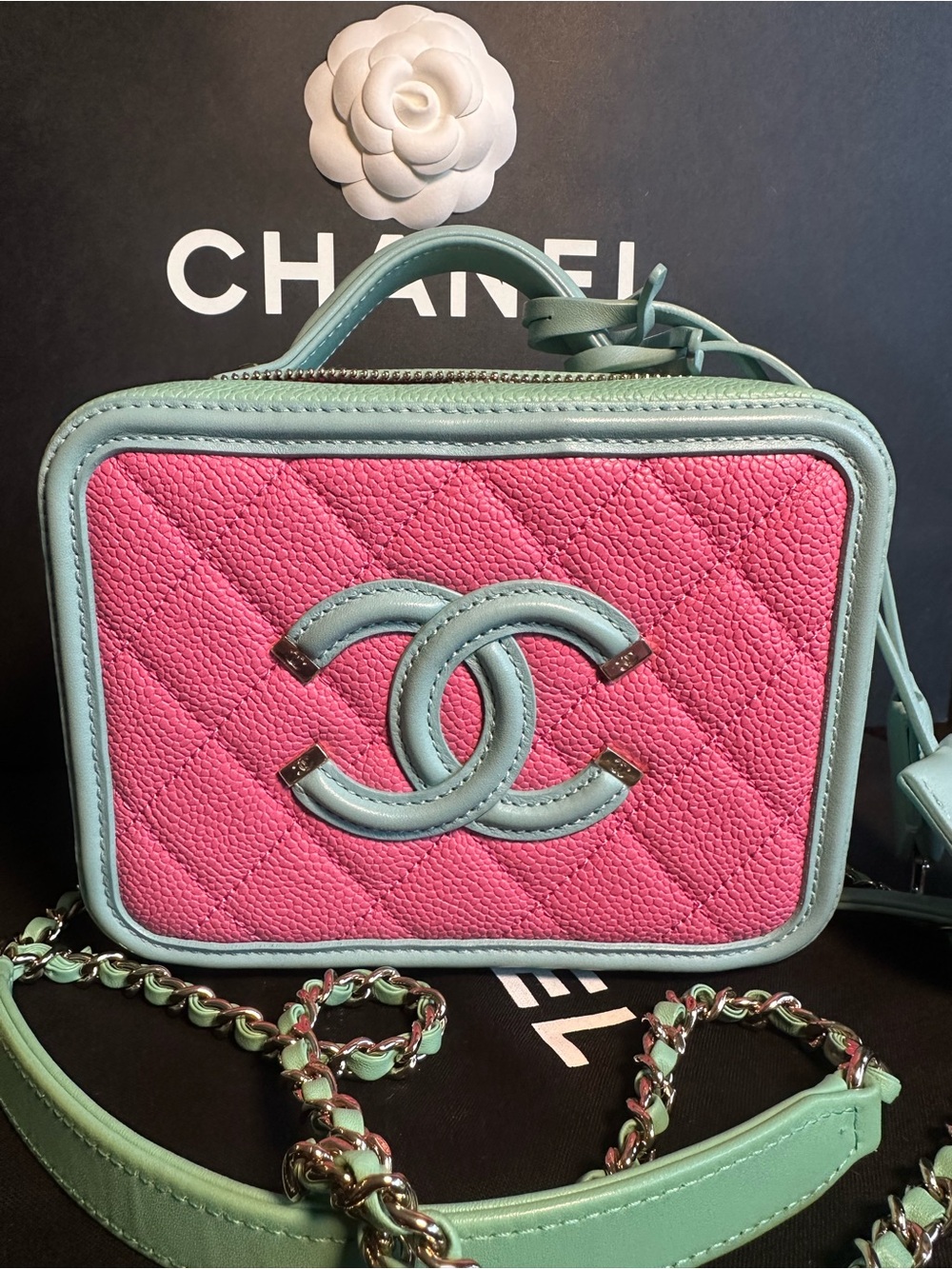 Chanel CC Filigree Small Vanity Case Pink Green Caviar Leather Crossbody
